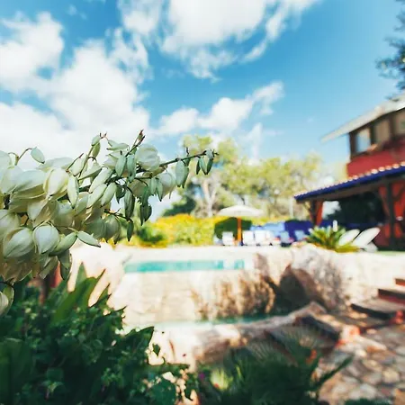 Entre Olivos: Very Charming 18 Sleepers Villa Sant Pere De Ribes