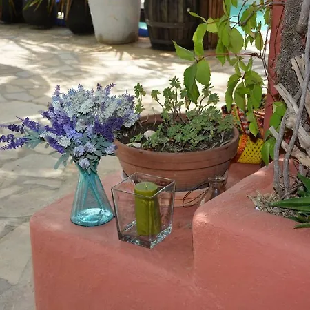 Entre Olivos: Very Charming 18 Sleepers Sant Pere De Ribes